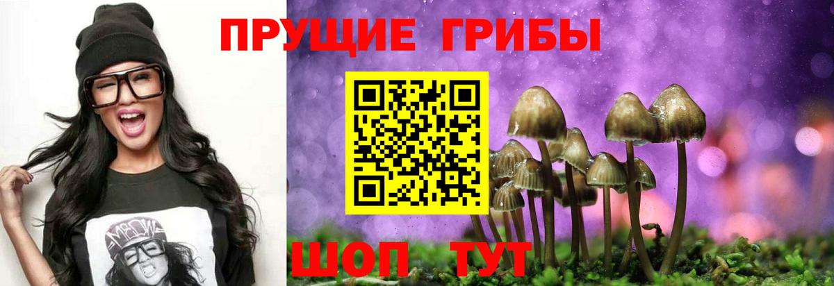 Галлюциногенные грибы мицелий Сегежа